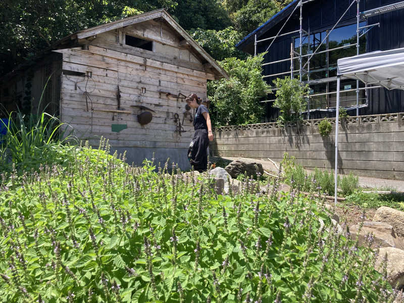 T.KatoさんのSea Sauna Shack / シーサウナシャックのサ活写真