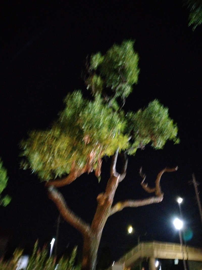 SAUNAめがねさんの極楽湯 和光店のサ活写真