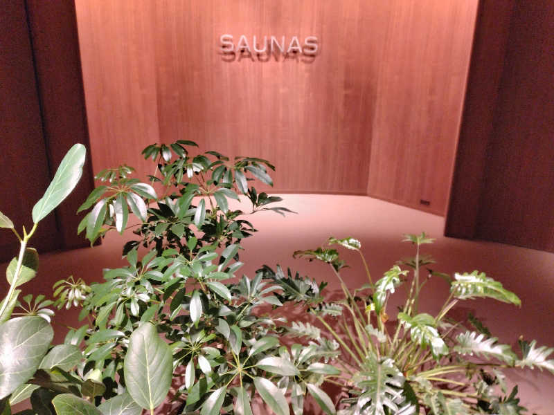 SAUNAめがねさんの高輪SAUNASのサ活写真