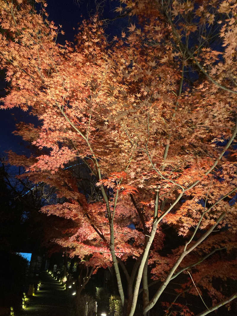 たかぷさんのよみうりランド眺望温泉 花景の湯のサ活写真