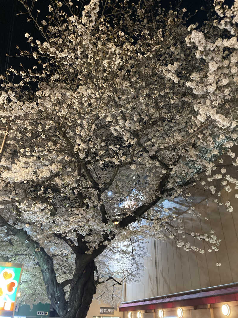 たかぷさんのアクア東中野のサ活写真