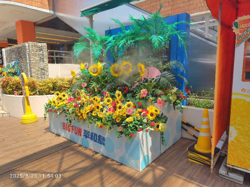 ♨️湯山♨️さんの天然温泉 平和島のサ活写真