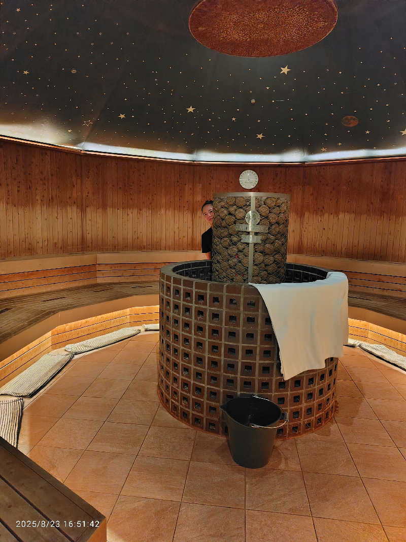 ♨️湯山♨️さんの天然温泉 平和島のサ活写真