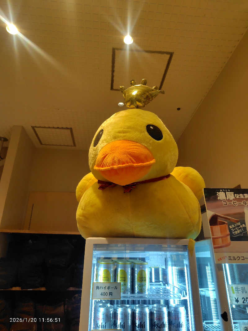 ♨️湯山♨️さんの天然温泉 平和島のサ活写真