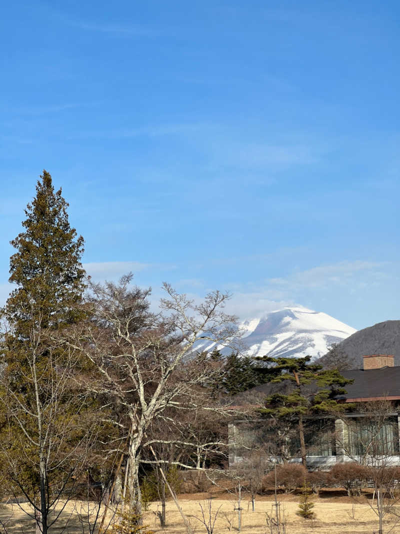 ひげおじさんの軽井沢プリンスホテル ウエスト 温泉棟「MOMIJI HOT-SPRING」のサ活写真