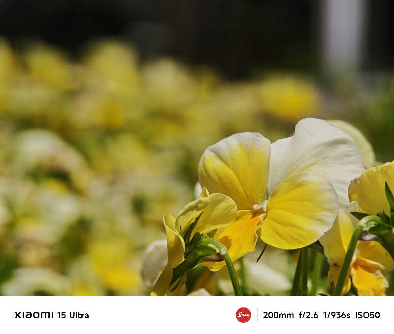 担々麺さんのよみうりランド眺望温泉 花景の湯のサ活写真