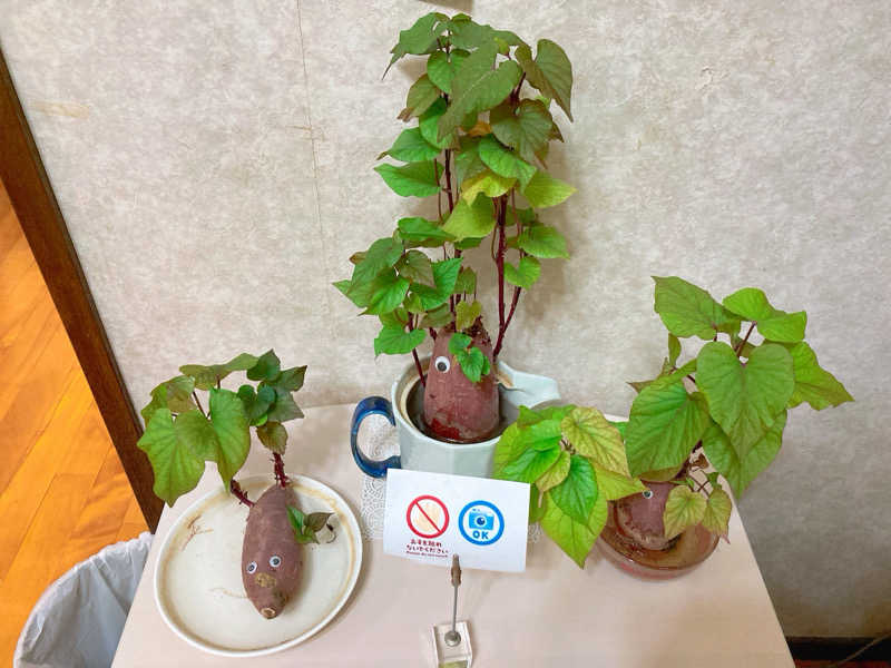 ヨネ（ヨネロッキー）さんの平和湯のサ活写真