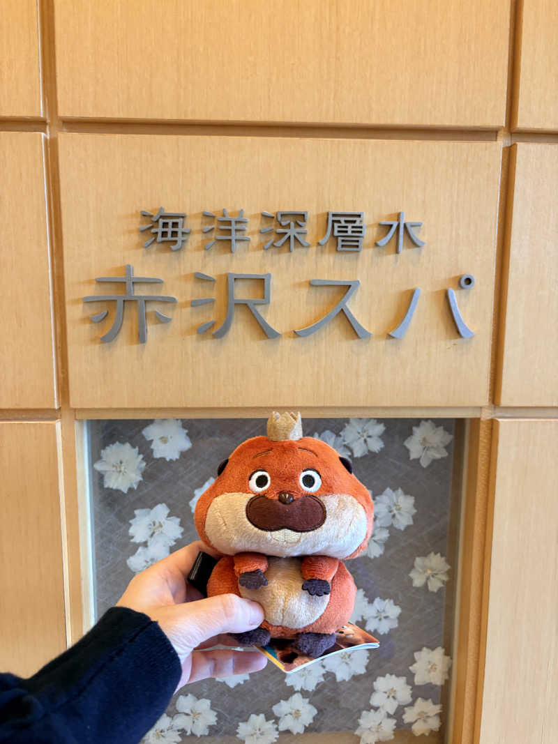 おさゆちゃん♨️サウナ女子さんの海洋深層水 赤沢スパのサ活写真