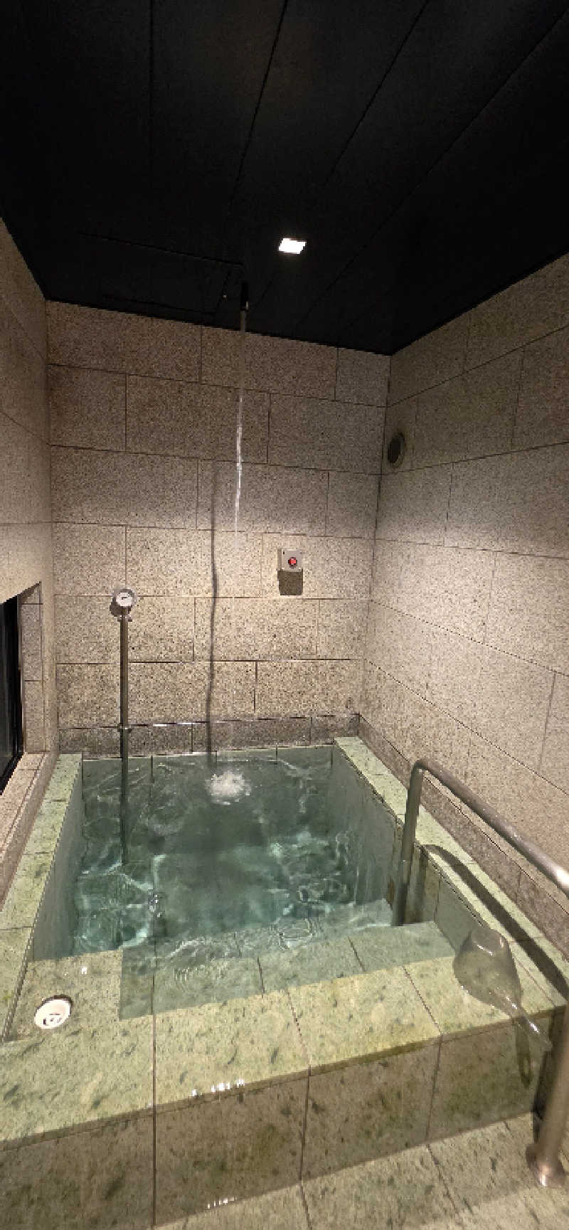 やなくさんのぎょうざ湯のサ活写真
