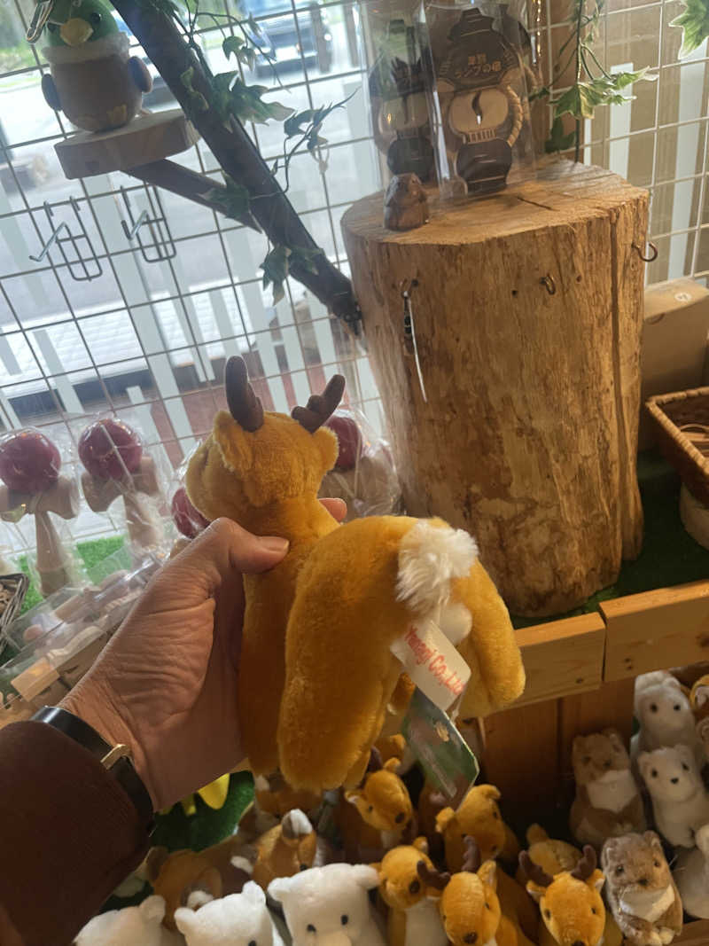 わや（わやぺちーの）さんの奥屈斜路温泉ランプの宿森つべつのサ活写真