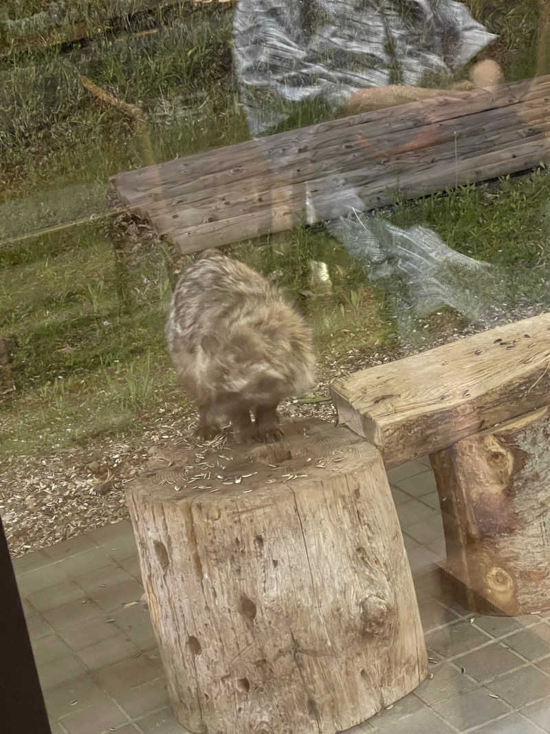 わや（わやぺちーの）さんの奥屈斜路温泉ランプの宿森つべつのサ活写真