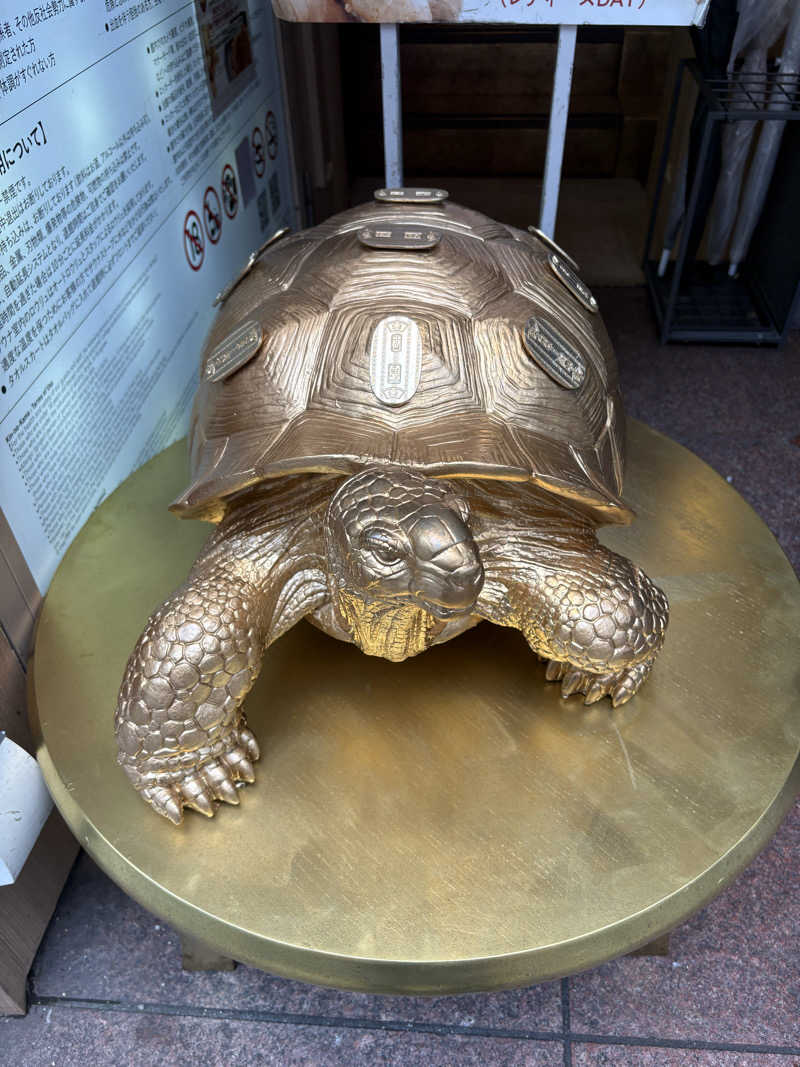 kojisaitouさんの生姜サウナ 金の亀のサ活写真