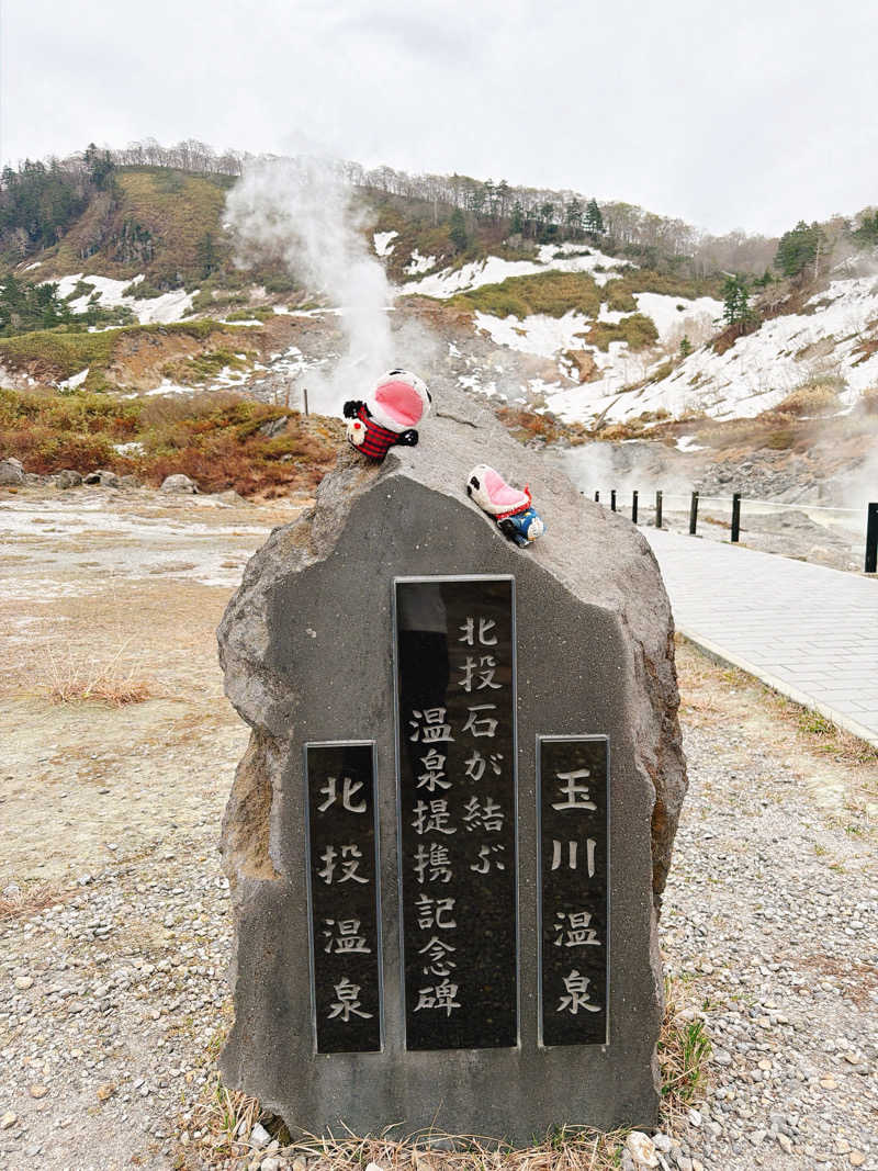 bananabikeさんの玉川温泉のサ活写真