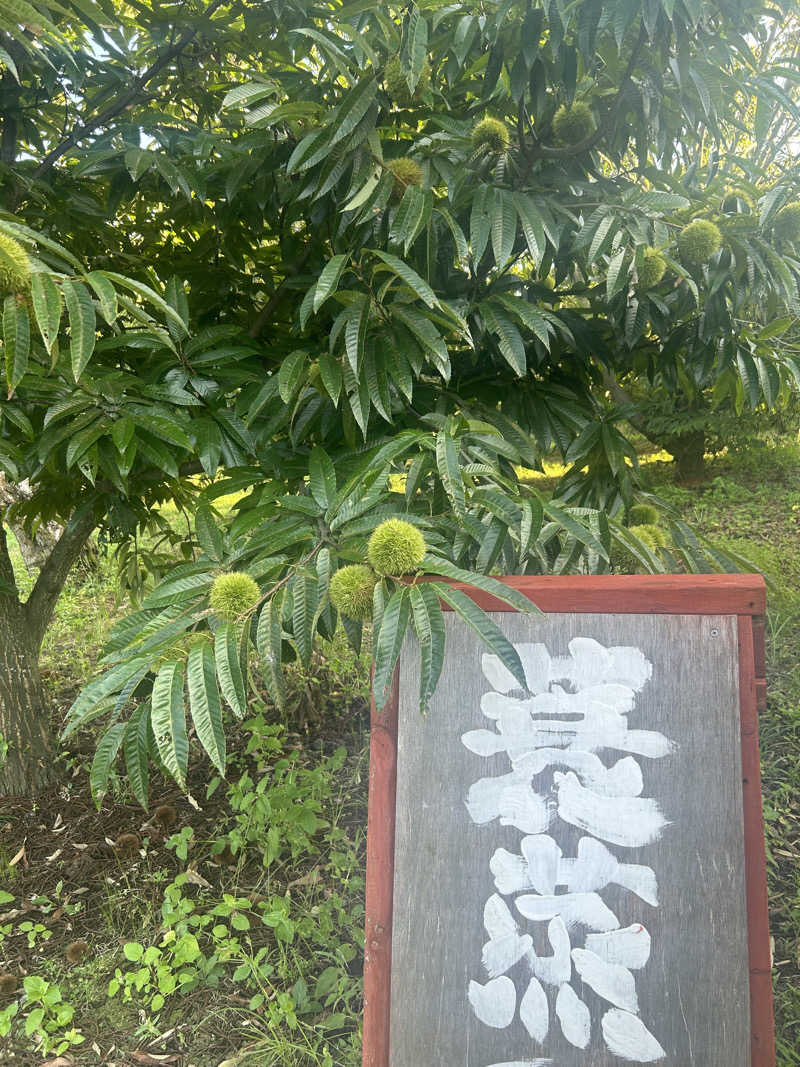 さきさんのサウナ蓑蒸のサ活写真