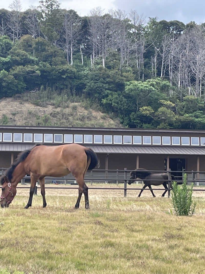 くまちゃん＠福岡さんの上対馬温泉渚の湯のサ活写真