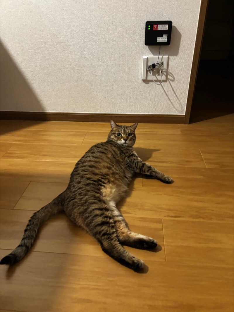 しもださんの八幡平ハイツのサ活写真