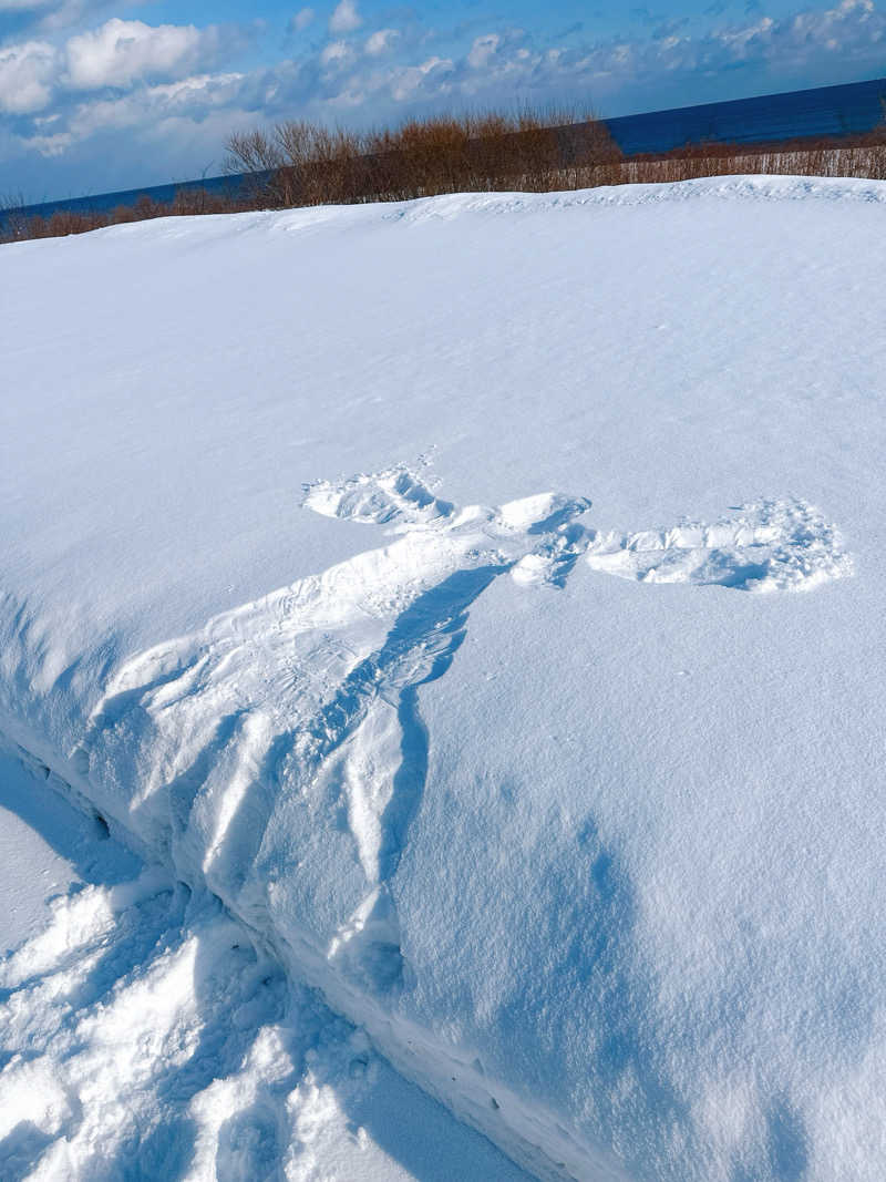 hamu37さんのオホーツク温泉ホテル日の出岬のサ活写真
