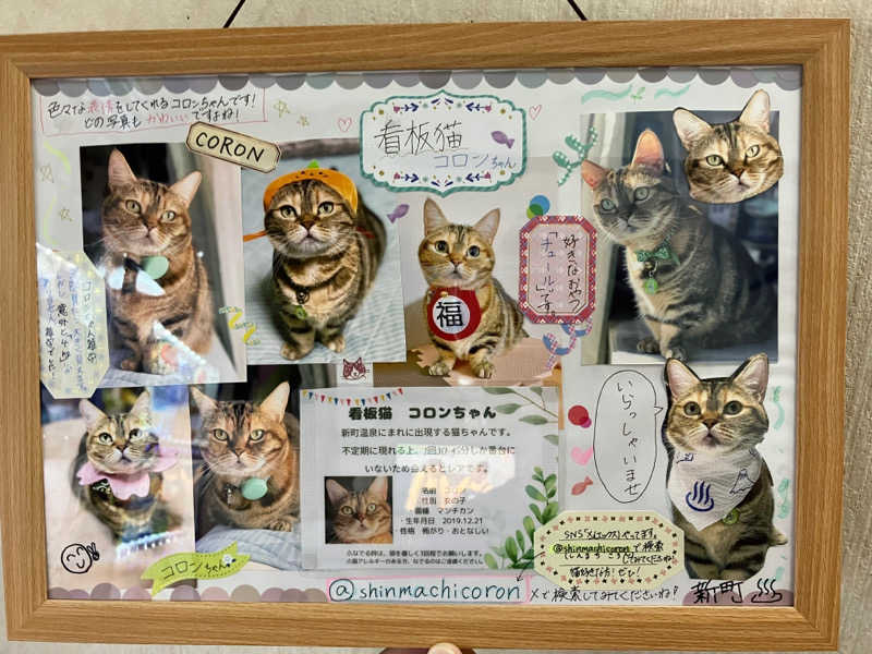 manabuさんの新町温泉のサ活写真