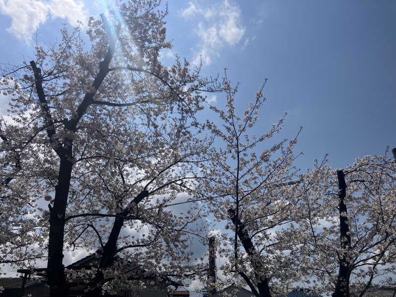 manabuさんのユートピア白玉温泉のサ活写真