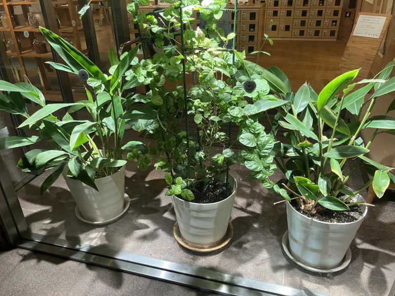 manabuさんの岐阜各務原 恵みの湯のサ活写真