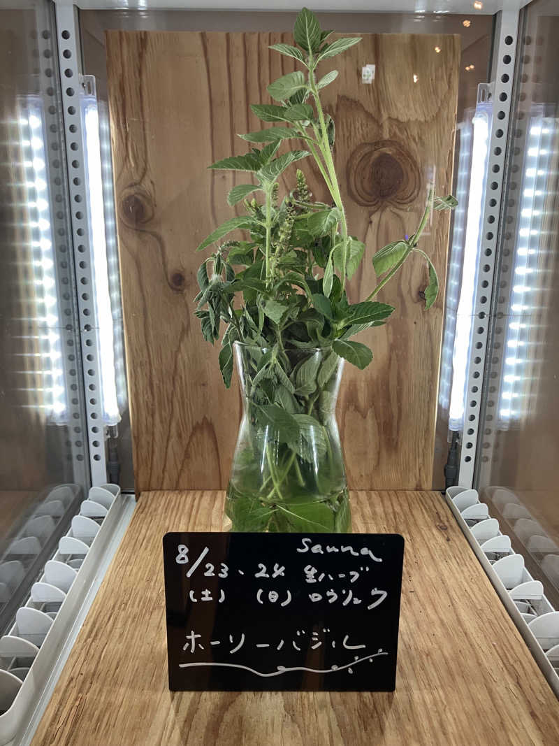 manabuさんの岐阜各務原 恵みの湯のサ活写真