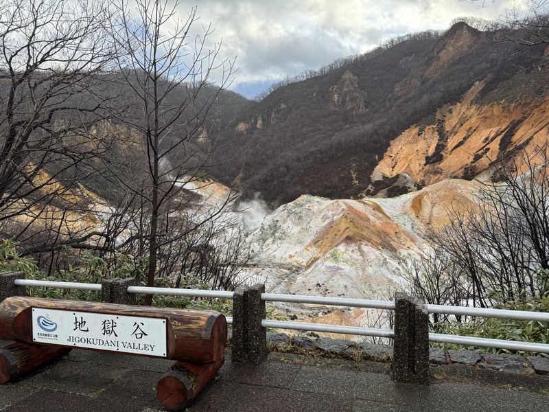 整っている猫奴隷さんの第一滝本館のサ活写真