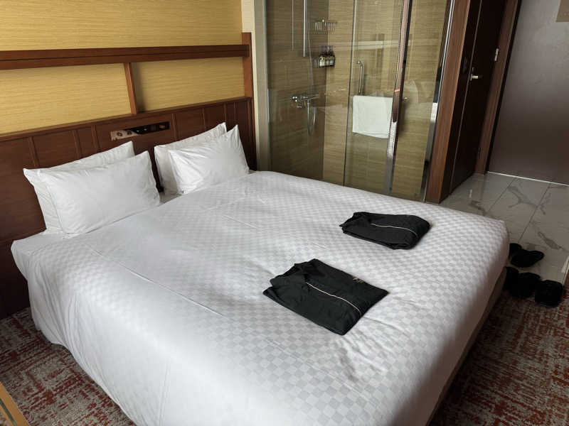 整っている猫奴隷さんのカンデオホテルズ大阪枚方のサ活写真