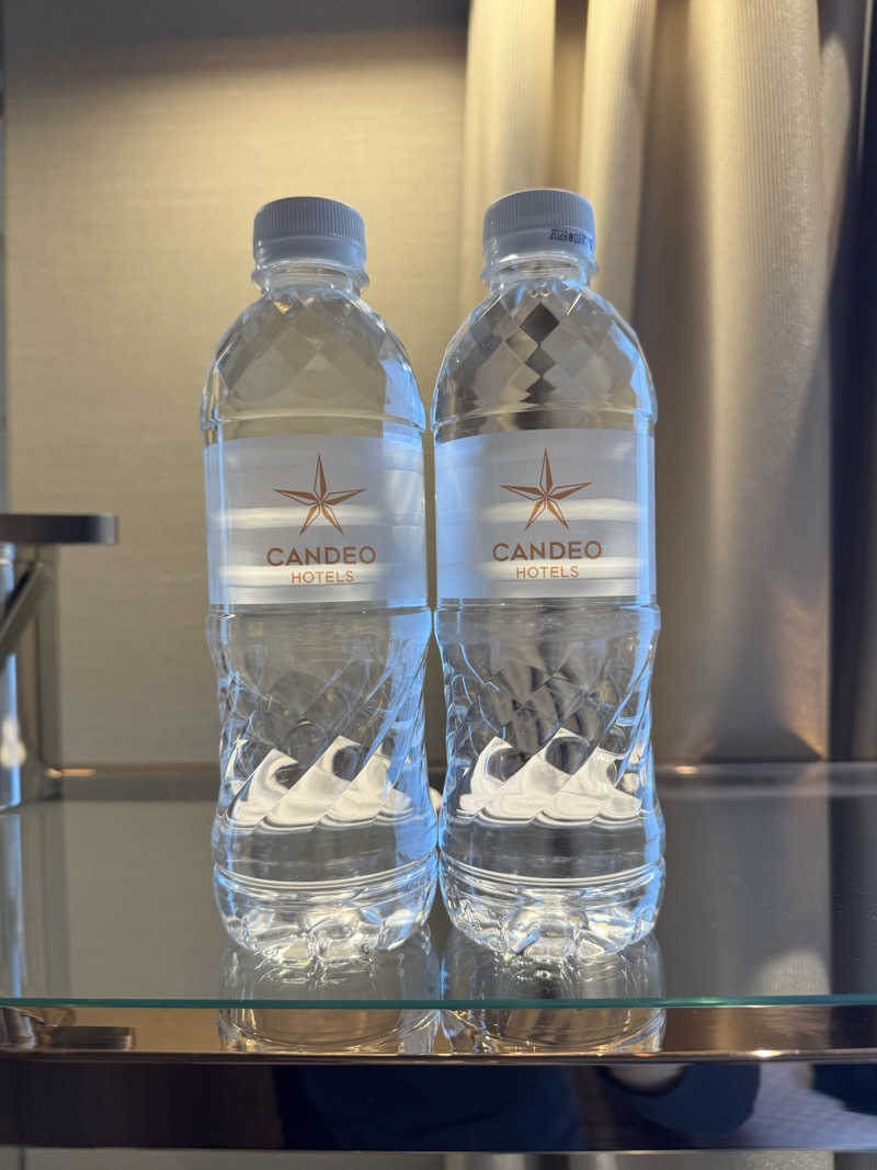 整っている猫奴隷さんのカンデオホテルズ大阪枚方のサ活写真