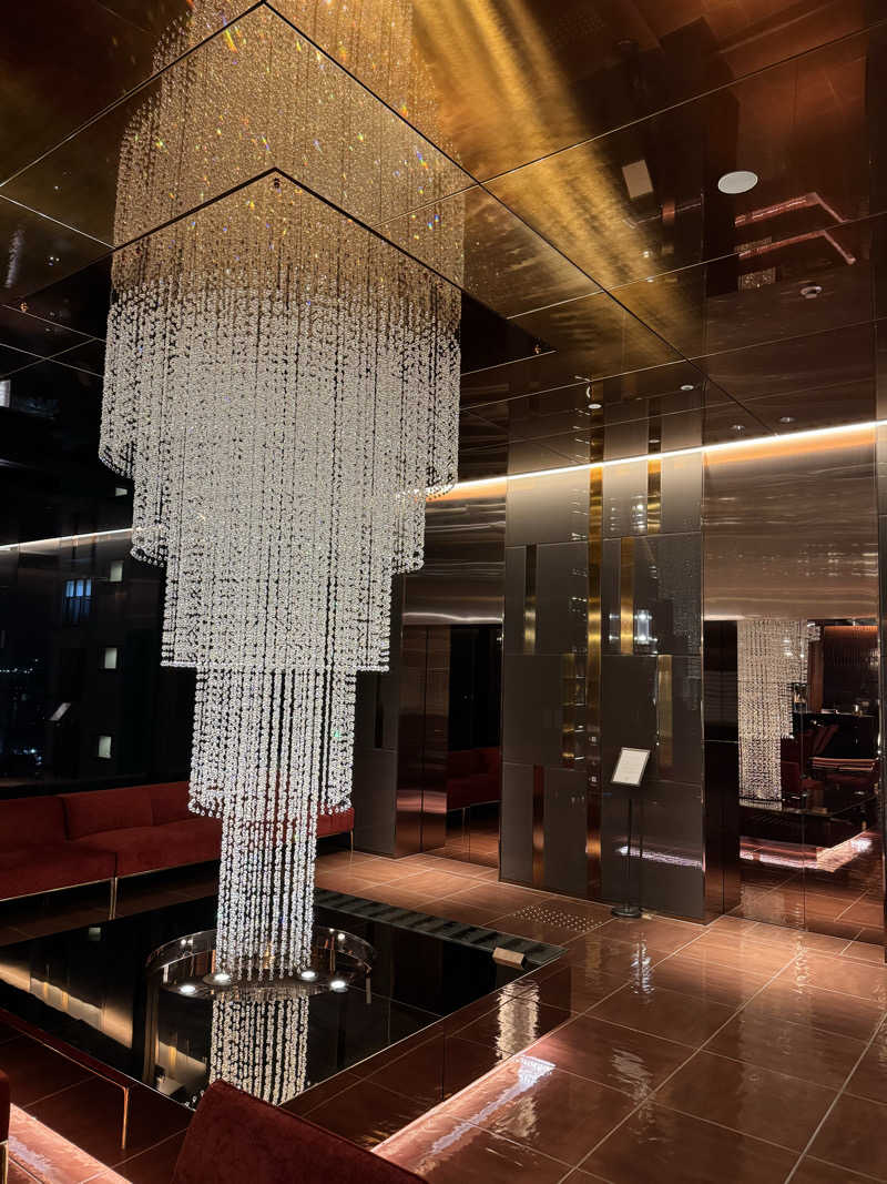 整っている猫奴隷さんのカンデオホテルズ大阪枚方のサ活写真