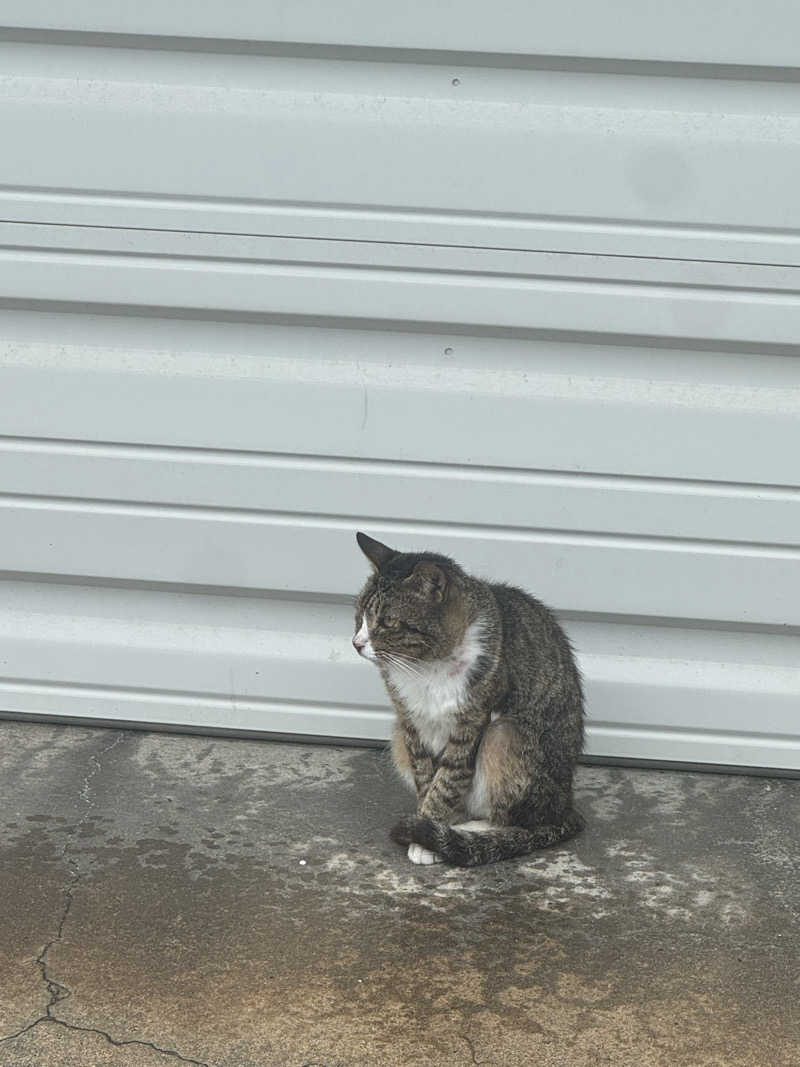 整っている猫奴隷さんの御所宝湯のサ活写真