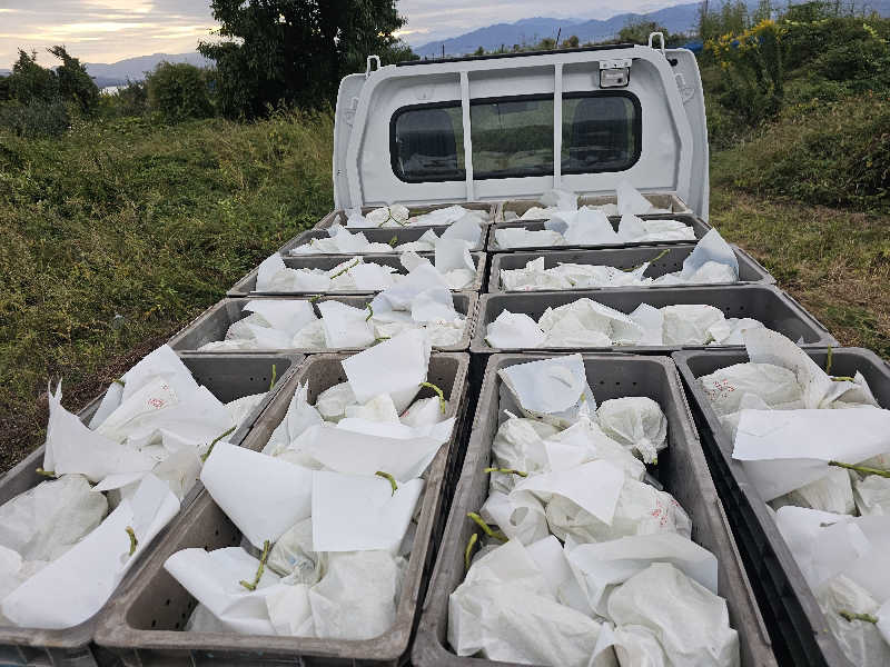 あかさんの信州須坂 関谷温泉湯っ蔵んどのサ活写真