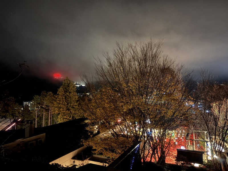 ヨーダさんの下呂温泉 ホテル くさかべアルメリアのサ活写真