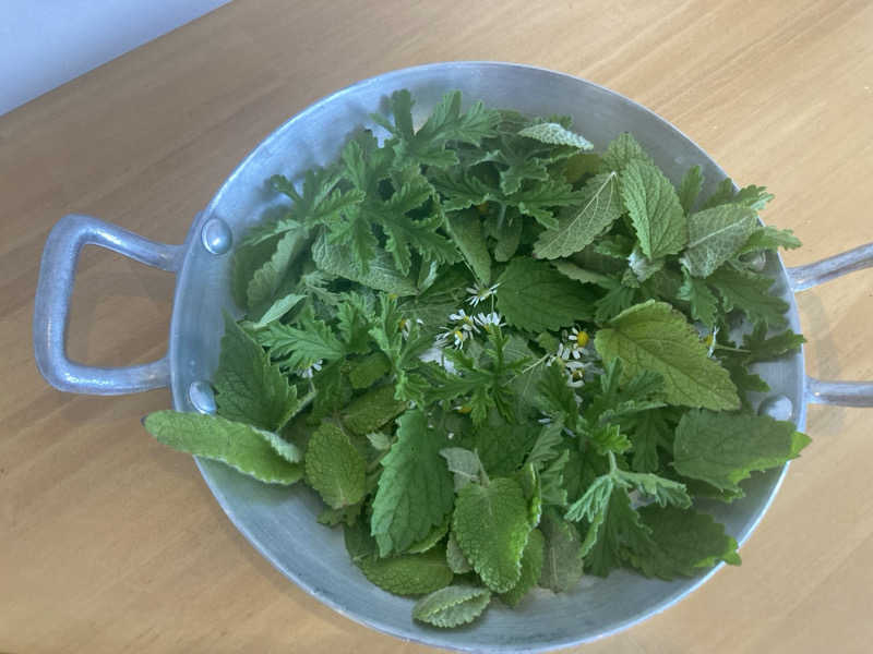 ひろりんさんの回-kai-のサ活写真