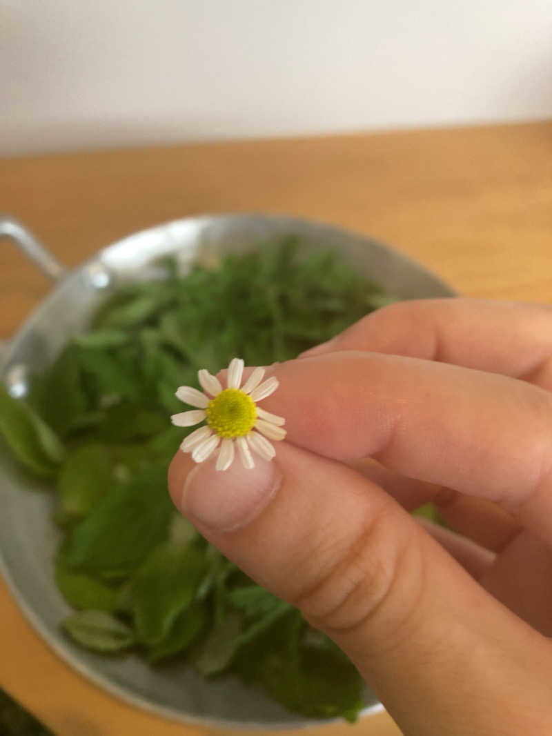 ひろりんさんの回-kai-のサ活写真