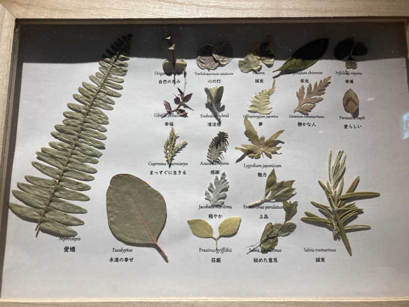 ひろりんさんのRe: PRIVATE SAUNAのサ活写真