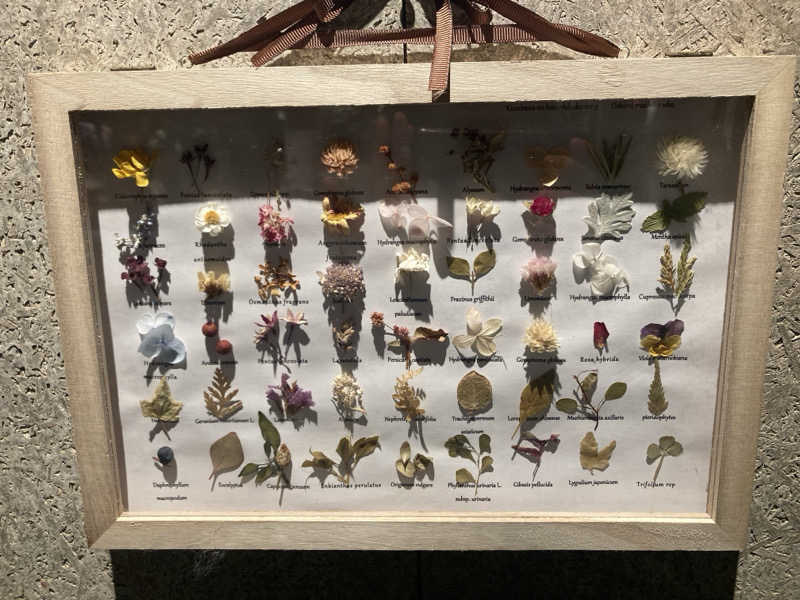 ひろりんさんのRe: PRIVATE SAUNAのサ活写真