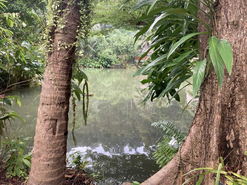 ひろりんさんのカトゥ・ハーブサウナ (Kathu Herb Sauna)のサ活写真