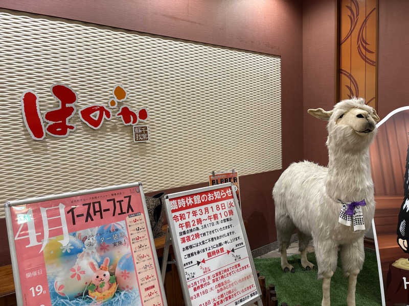 サブティーニさんの湯の郷ほのか 蘇我店のサ活写真