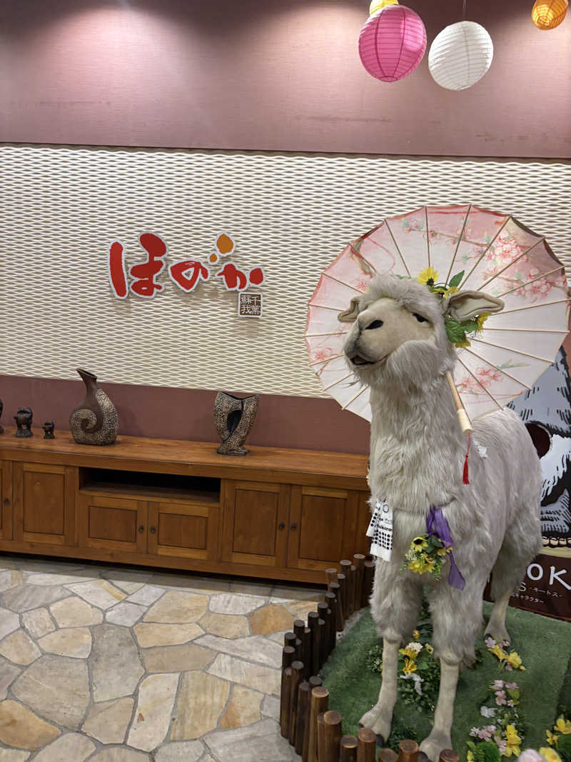 かみすけさんの湯の郷ほのか 蘇我店のサ活写真