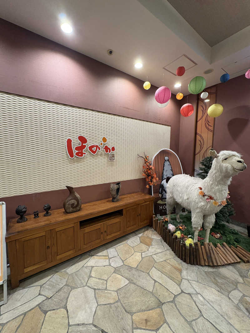 サブティーニさんの湯の郷ほのか 蘇我店のサ活写真