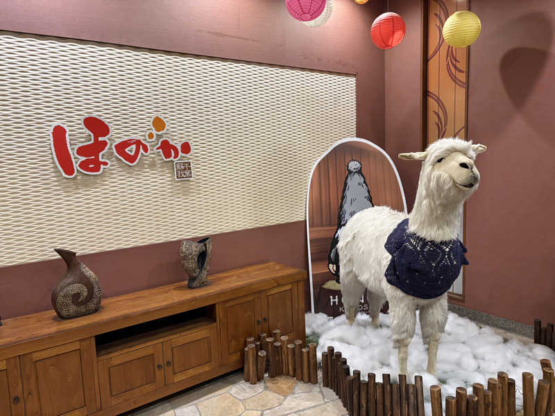 かみすけさんの湯の郷ほのか 蘇我店のサ活写真