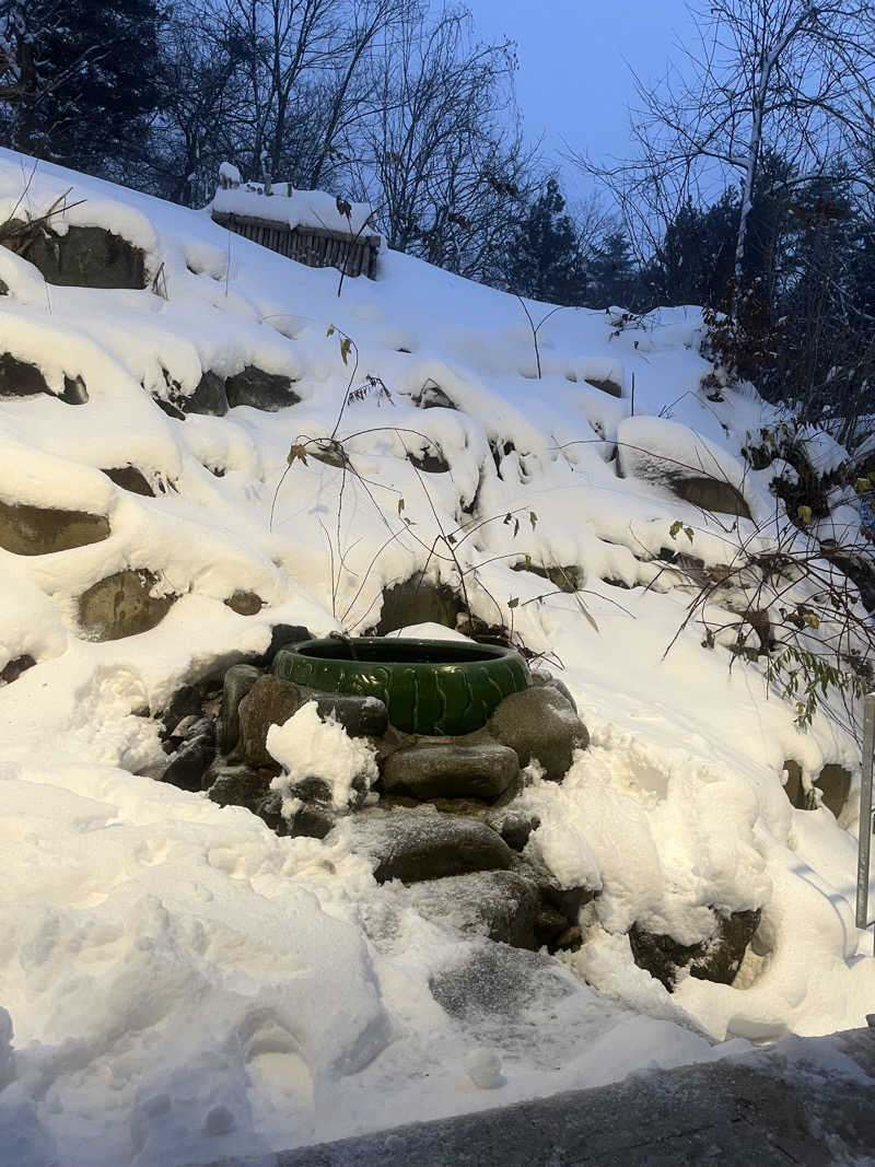 家賃さんの別邸 仙寿庵のサ活写真