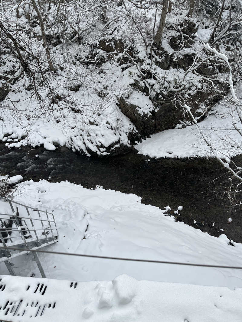 家賃さんの別邸 仙寿庵のサ活写真