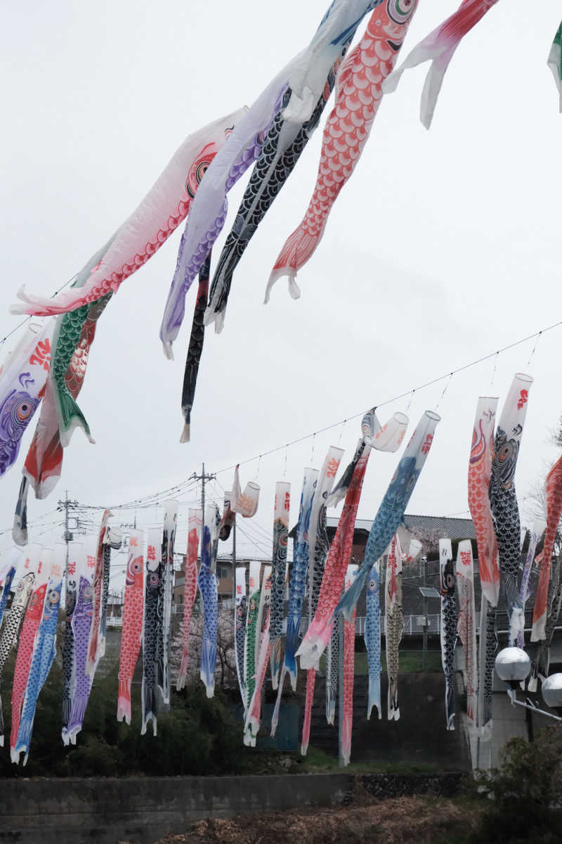 まーさんさんの秩父湯元 武甲温泉のサ活写真