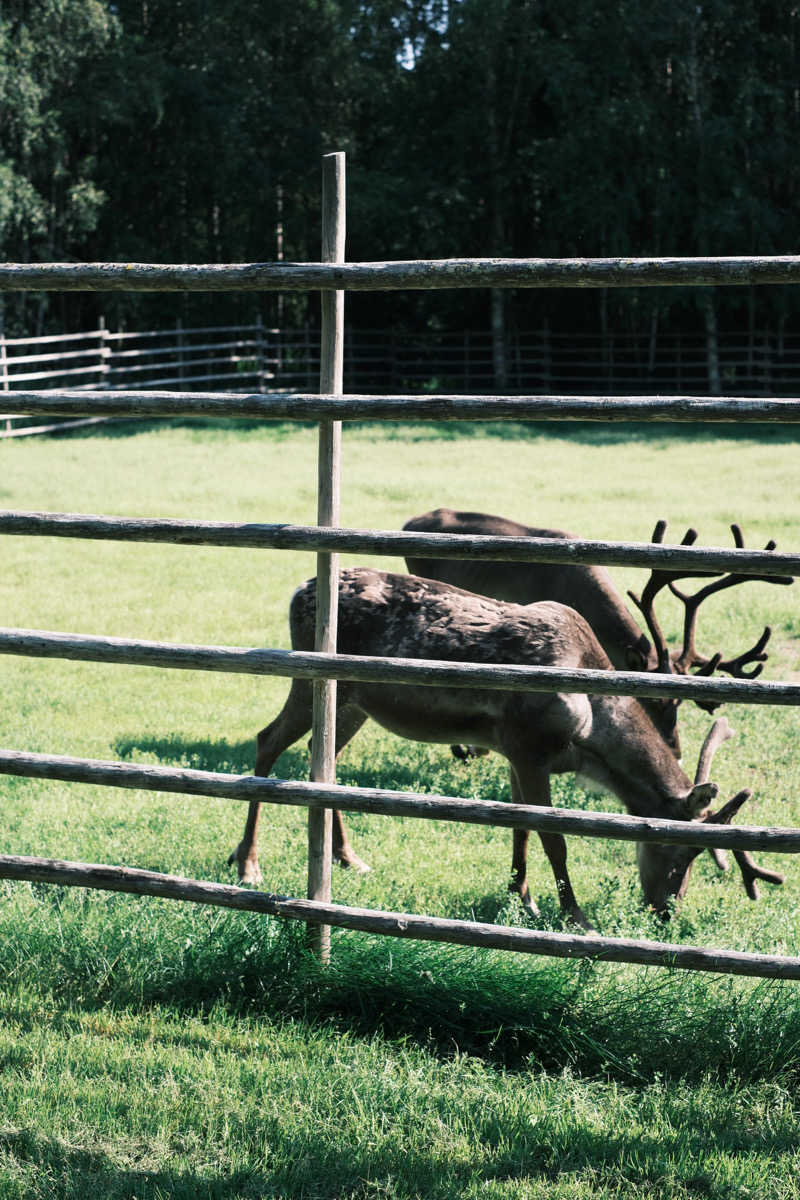 まーさんさんのLapland Hotels Sky Ounasvaaraのサ活写真