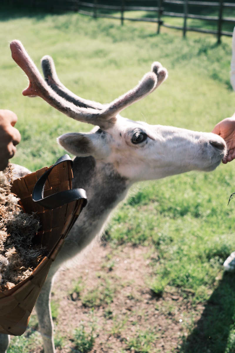 まーさんさんのLapland Hotels Sky Ounasvaaraのサ活写真