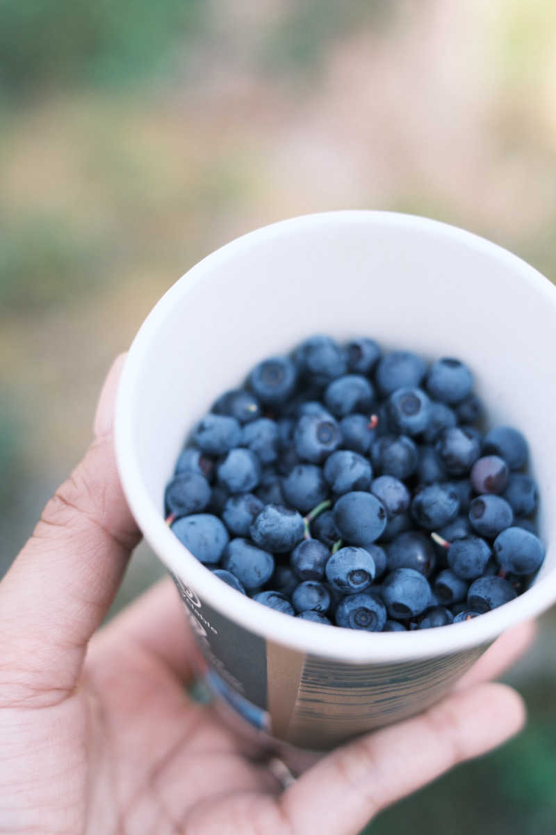 まーさんさんのLapland Hotels Sky Ounasvaaraのサ活写真