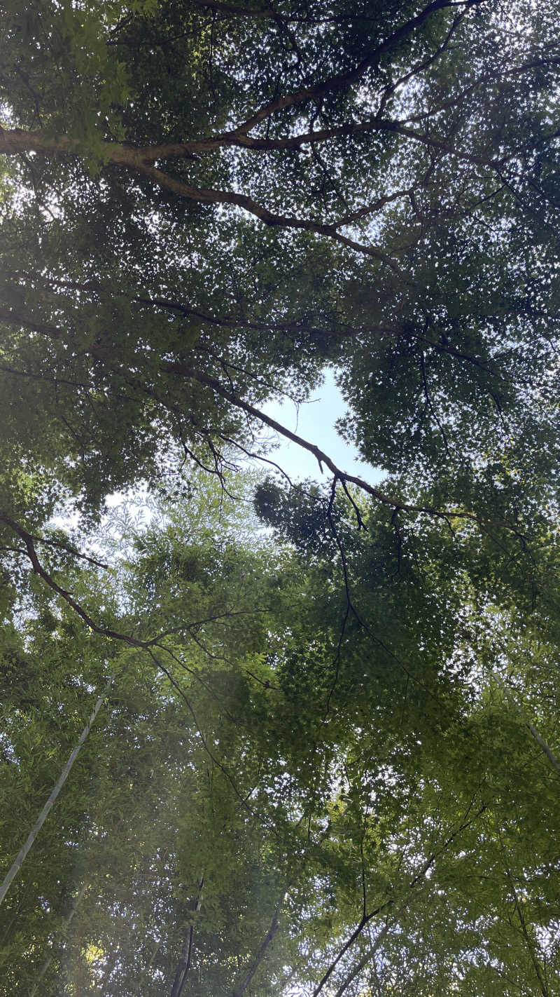 tmさんのSauna Base SHIFUKUのサ活写真