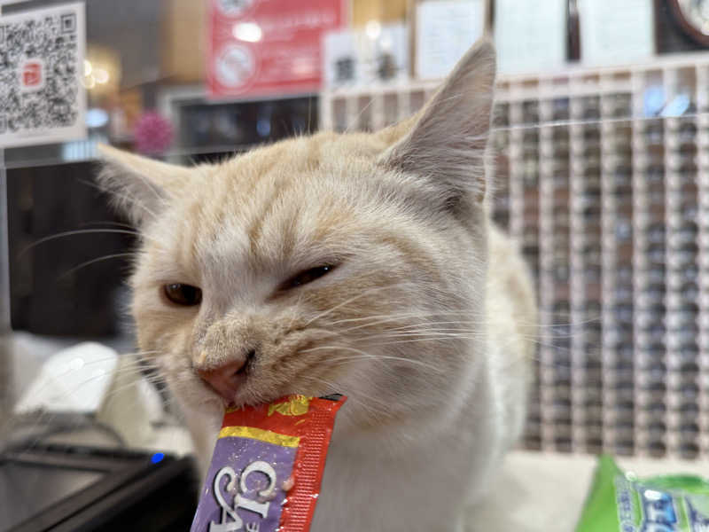 Mr.さんの行田・湯本天然温泉 茂美の湯のサ活写真