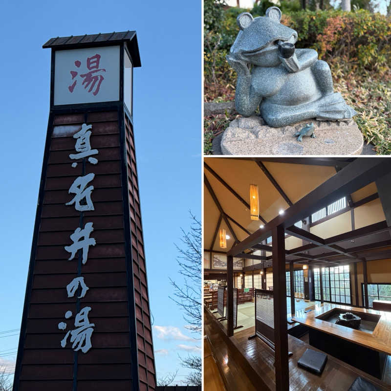 Mr.さんの天然温泉 真名井の湯 大井店のサ活写真